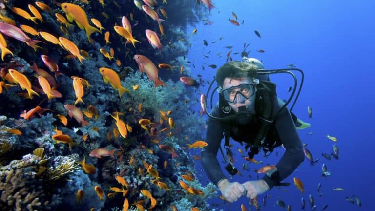 Consejos básicos para iniciarse en el buceo