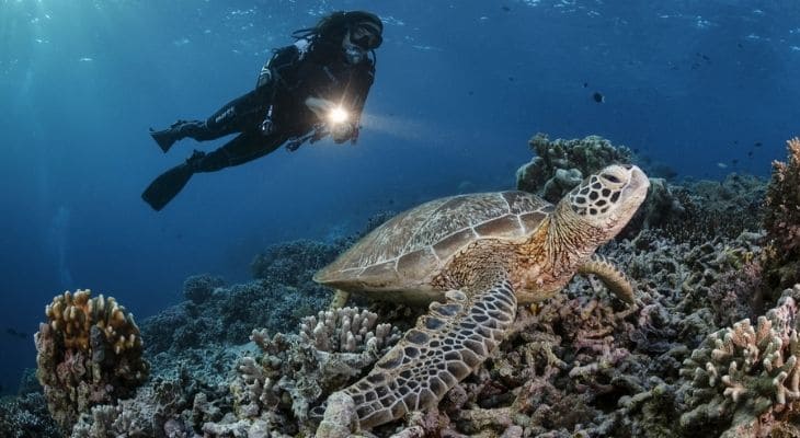 mejores sitios de buceo del mundo