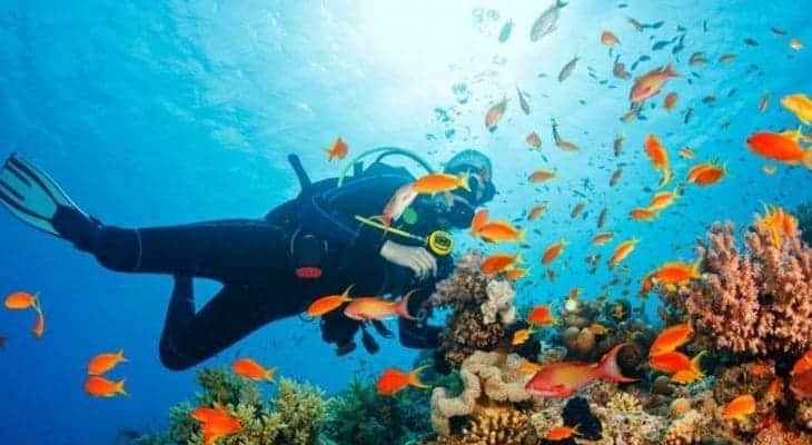 buceo en Bonaire Antillas Neerlandesas