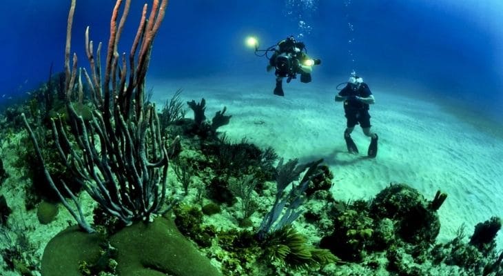 buceo isla de cocos costa rica -