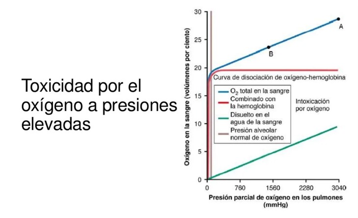 buceo toxicida por el oxigeno a presiones elevadas -