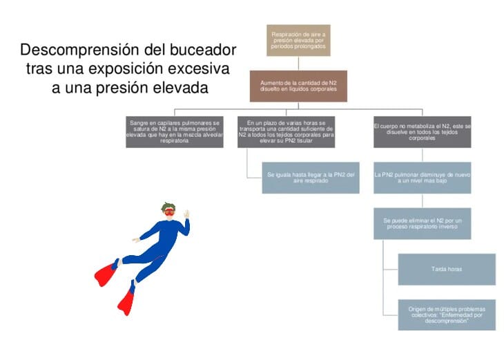 descompresion del buceador tras una exposicion excesiva a una presion elevada -