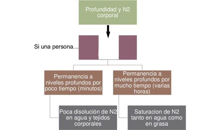 profundidad buceador y nitrogeno en la sangre -