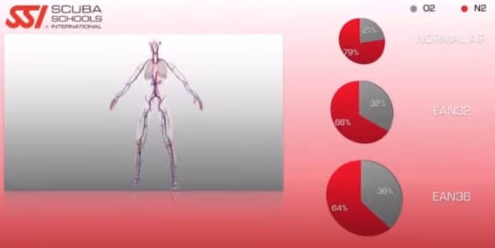 proporcion oxigeno nitrogeno de aire normal EAN32 y EAN36 -